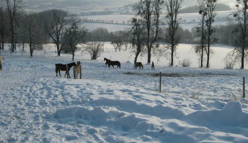 Penzion Hradisko Rožnov pod Radhoštěm